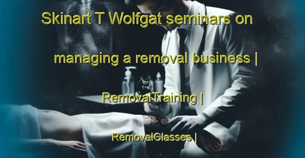 Skinart T Wolfgat seminars on managing a removal business | RemovalTraining | RemovalClasses | SkinartTraining-Belgium